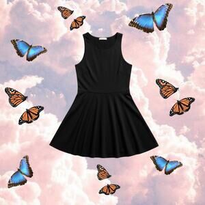 Brandy Melville sleeveless black skater dress